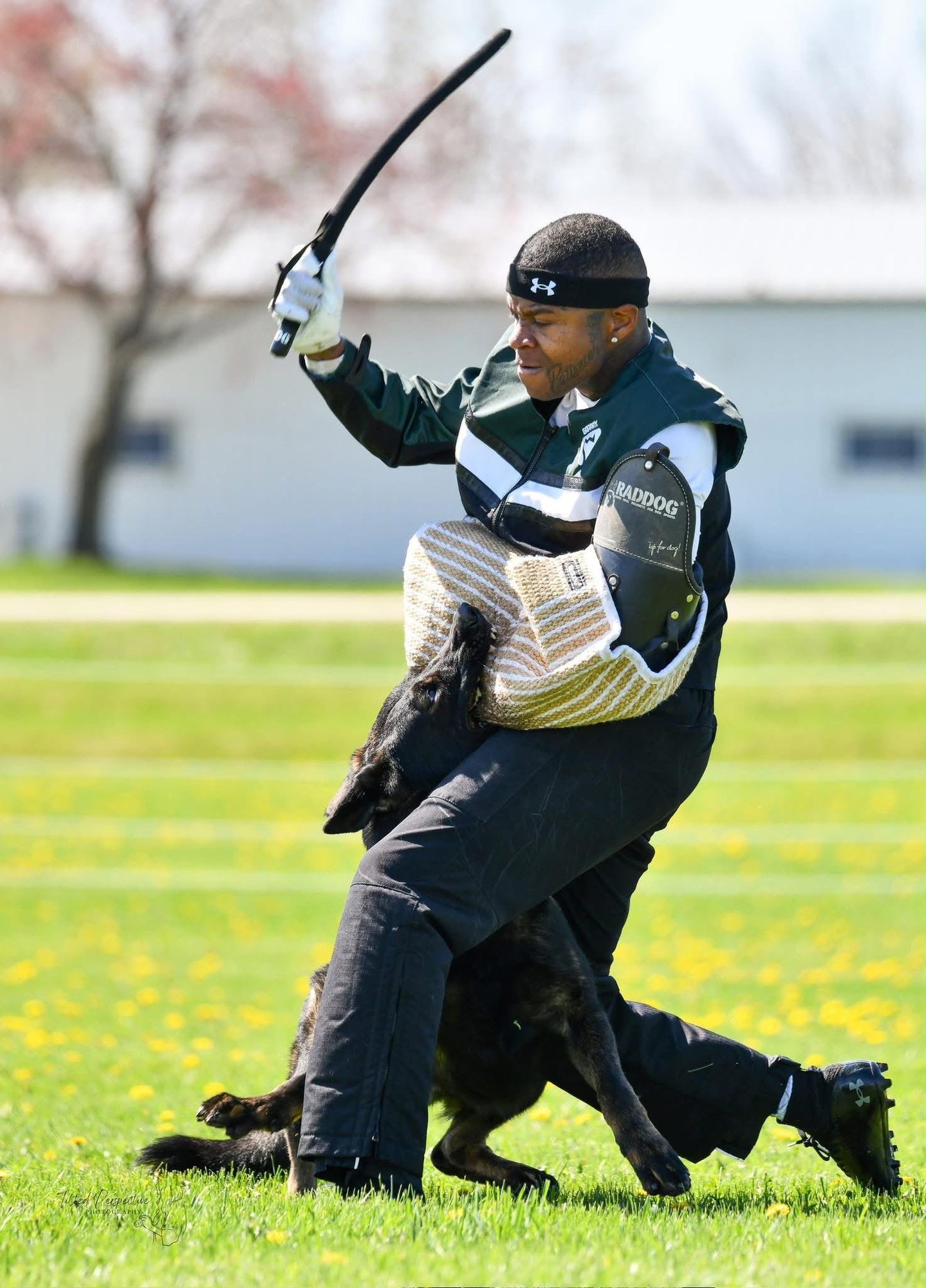 Damon Jones taking a bite on the sleeve from a German Shepherd during decoy work