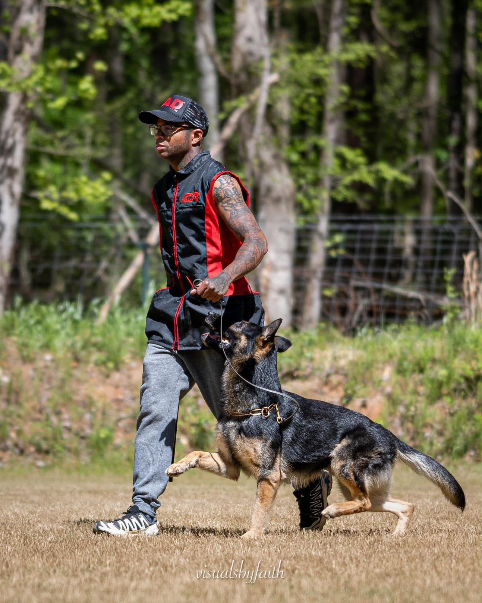 Damon Jones heeling a German Shepherd in the field